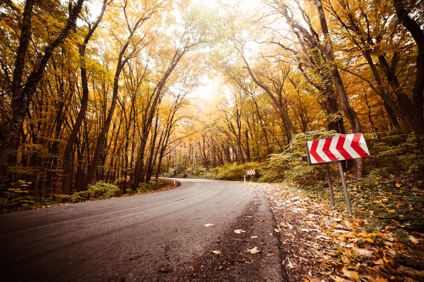 autumn-long-curved-road-picjumbo-com